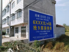 武夷山墙体广告质量分析